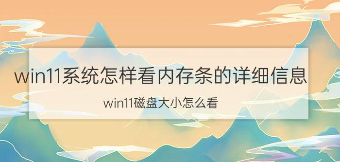 win11系统怎样看内存条的详细信息 win11磁盘大小怎么看？